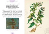 Kew: The Witch's Garden