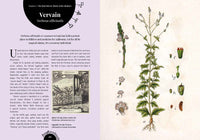 Kew: The Witch's Garden