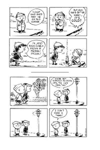 Peanuts Slipcase Set