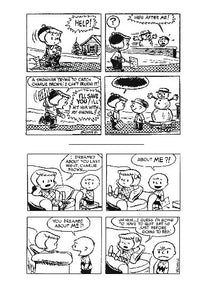 Peanuts Slipcase Set