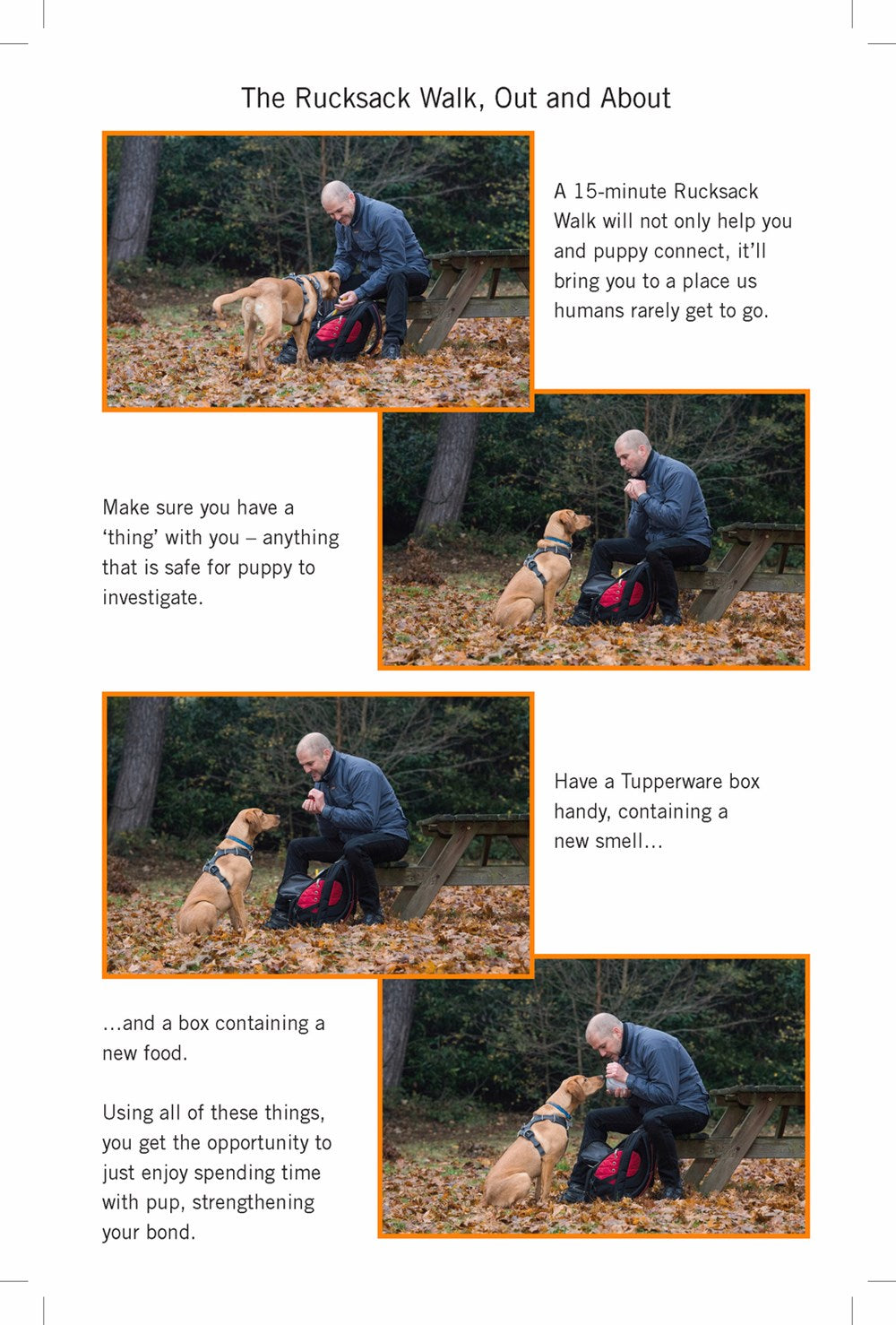 Easy Peasy Puppy Squeezy