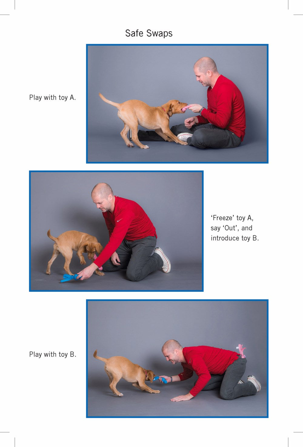 Easy Peasy Puppy Squeezy