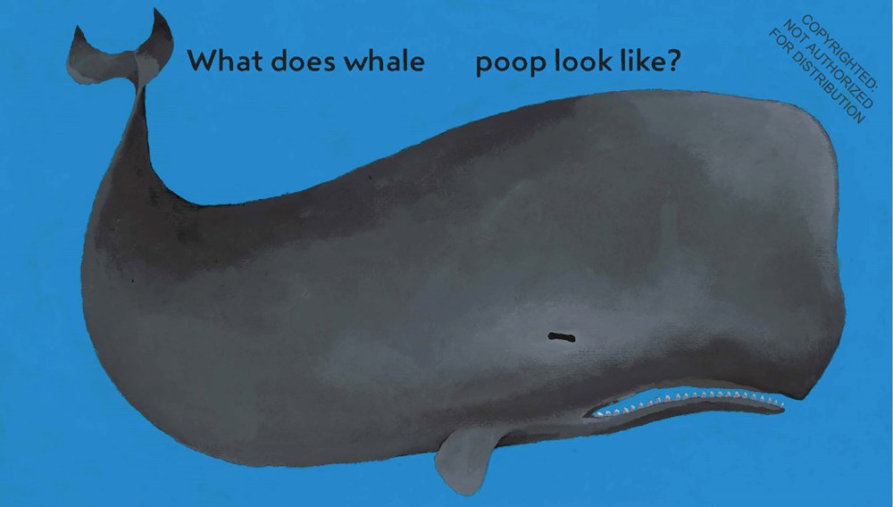 Everyone Poops (Taro Gomi)