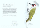 The Field Guide to Dumb Birds of the Whole Stupid World
