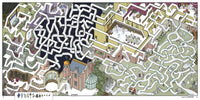 Disney Parks Mazes