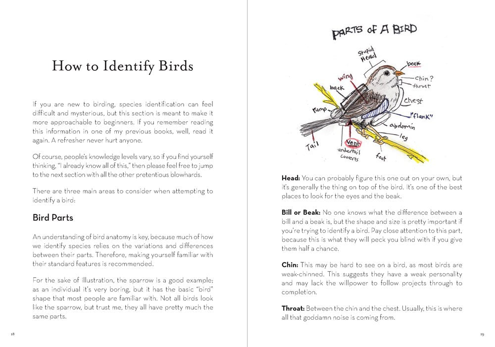 A Dumb Birds Field Guide to the Worst Birds Ever
