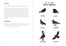 A Dumb Birds Field Guide to the Worst Birds Ever