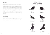A Dumb Birds Field Guide to the Worst Birds Ever