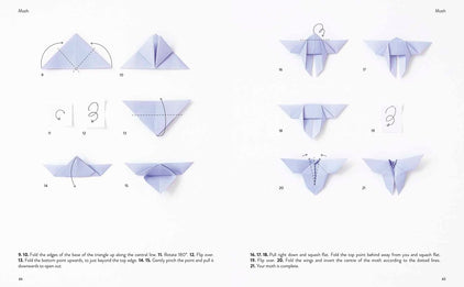 Simple Origami: Over 50 pretty paper folding projects