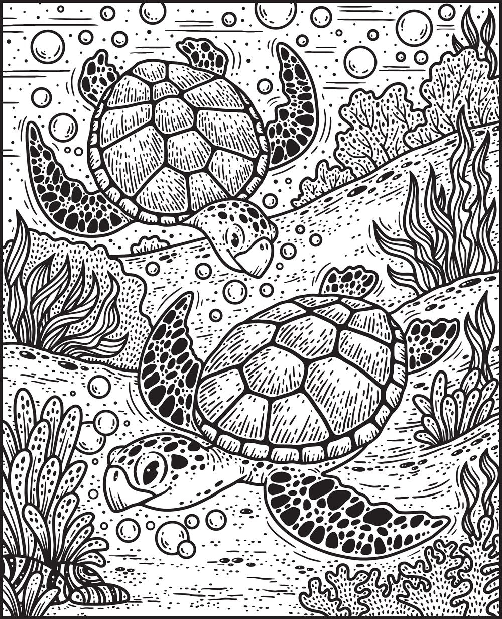 Narwhals and Other Sea Creatures Magic Painting Book