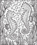Narwhals and Other Sea Creatures Magic Painting Book