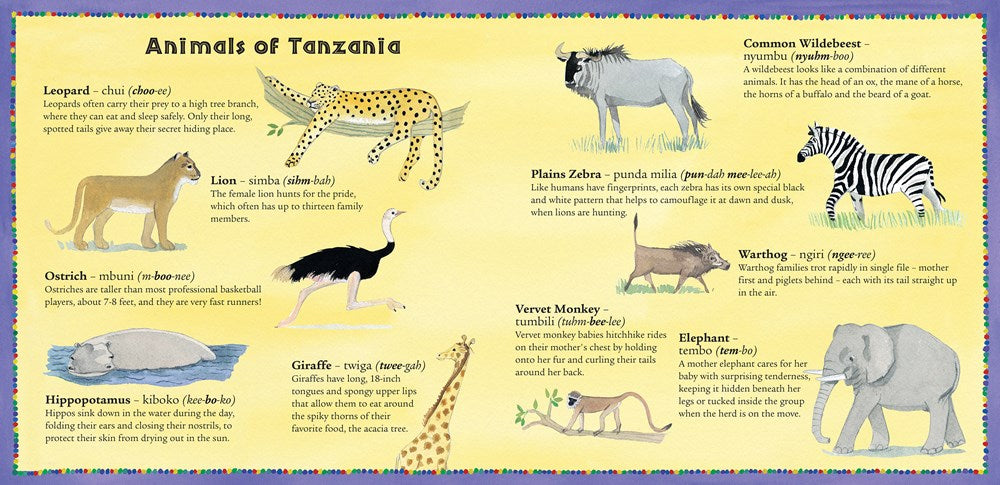 We All Went on Safari