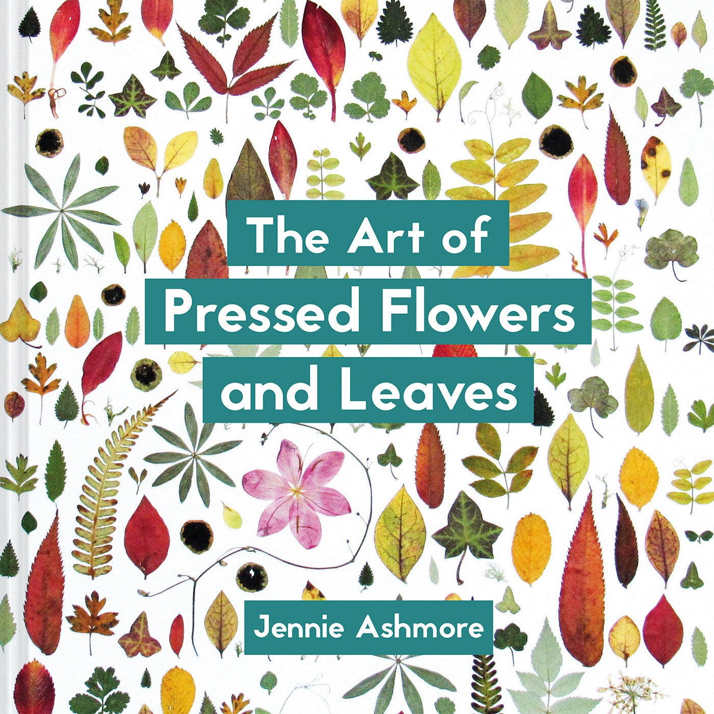 The Art of Pressed Flowers and Leaves: Contemporary techniques & designs