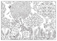 Enchanted Forest Postcards