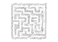 Enchanted Forest Postcards