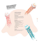 Crocheted Sea Creatures