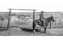 American Cowboys