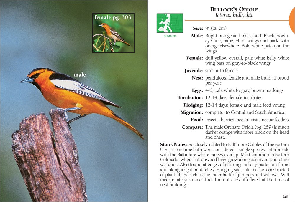 Birds of Colorado Field Guide