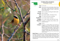 Birds of Oklahoma Field Guide