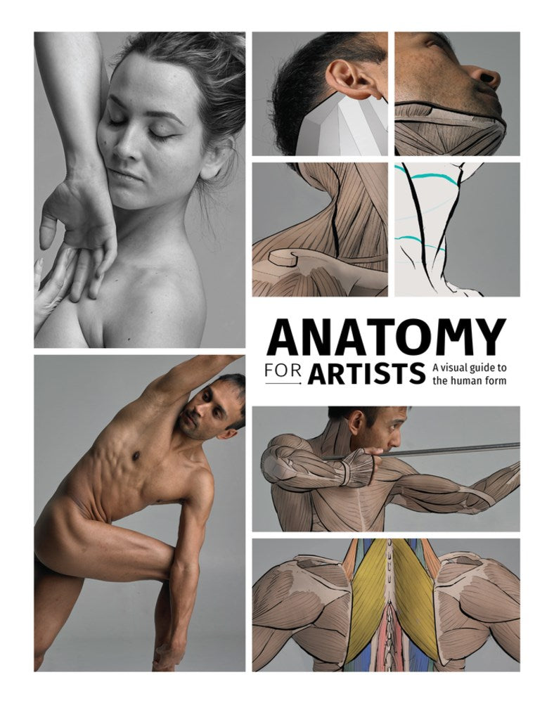 Anatomy for Artists: A visual guide to the human form