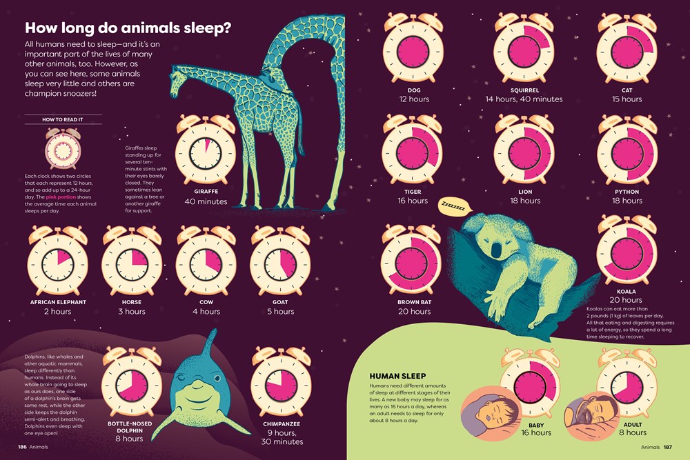 Britannica's Encyclopedia Infographica: 1,000s of Facts & Figures―about Earth, space, animals, the body, technology & more―Revealed in Pictures