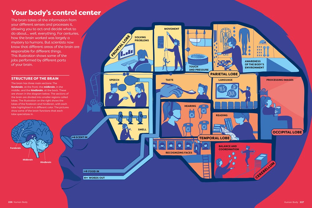 Britannica's Encyclopedia Infographica: 1,000s of Facts & Figures―about Earth, space, animals, the body, technology & more―Revealed in Pictures