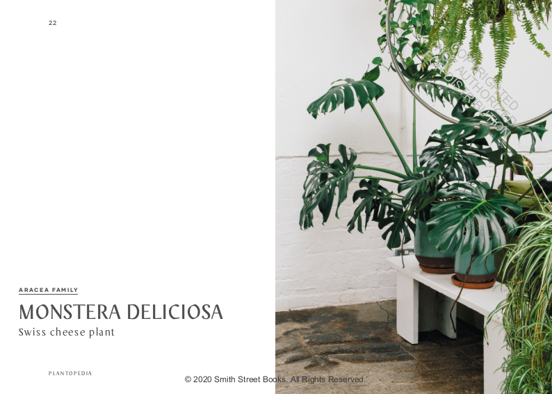 Plantopedia: The Definitive Guide to Houseplants