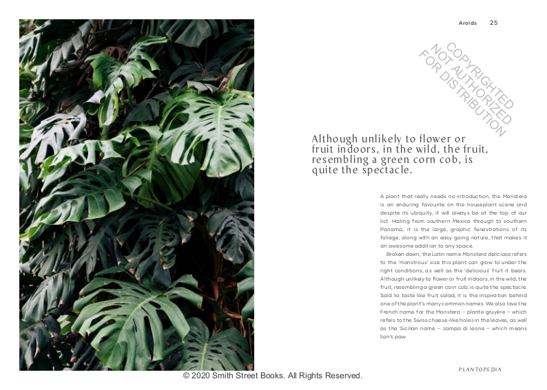 Plantopedia: The Definitive Guide to Houseplants