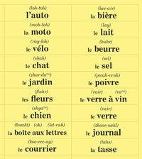 FRENCH in 10 minutes a day