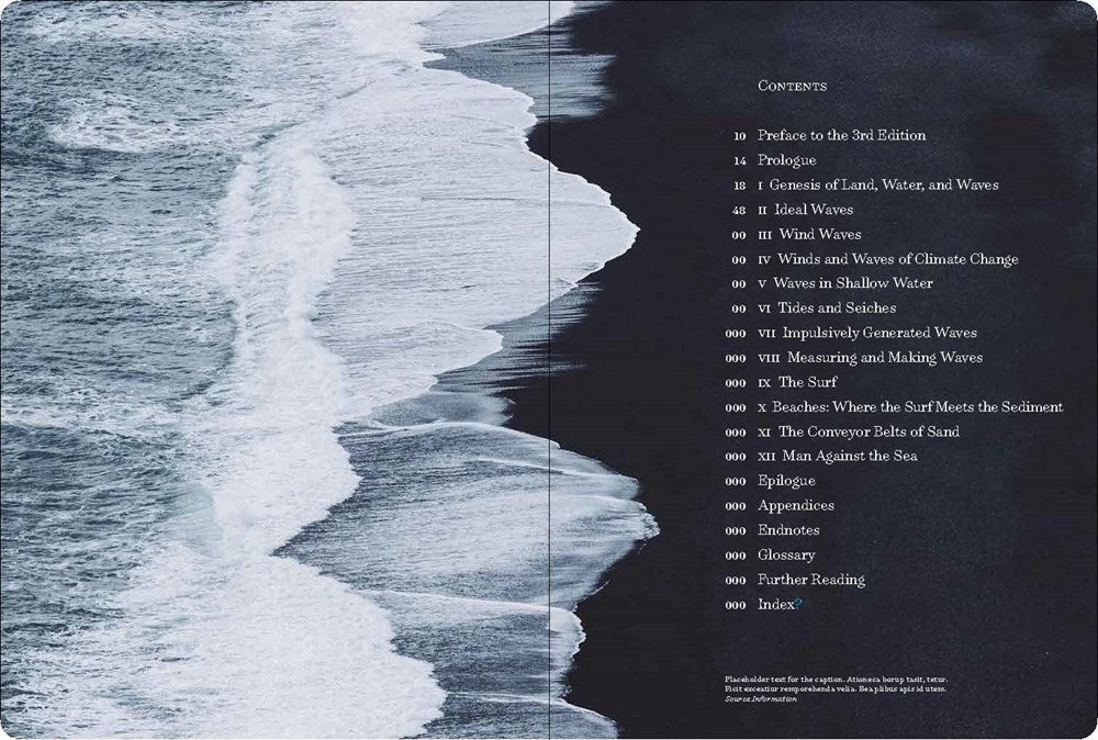 Waves and Beaches