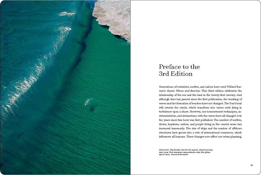 Waves and Beaches