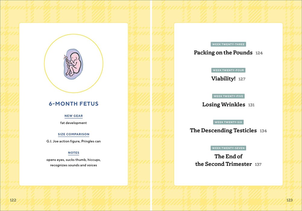 We're Pregnant! The First Time Dad's Pregnancy Handbook