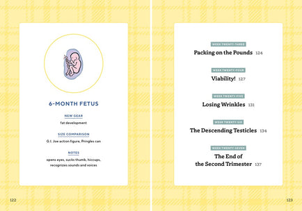 We're Pregnant! The First Time Dad's Pregnancy Handbook