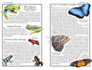 Costa Rica: The Complete Guide