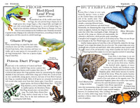 Costa Rica: The Complete Guide