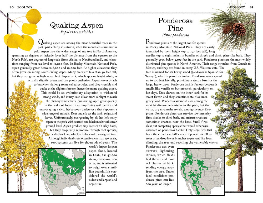 Rocky Mountain National Park: The Complete Guide