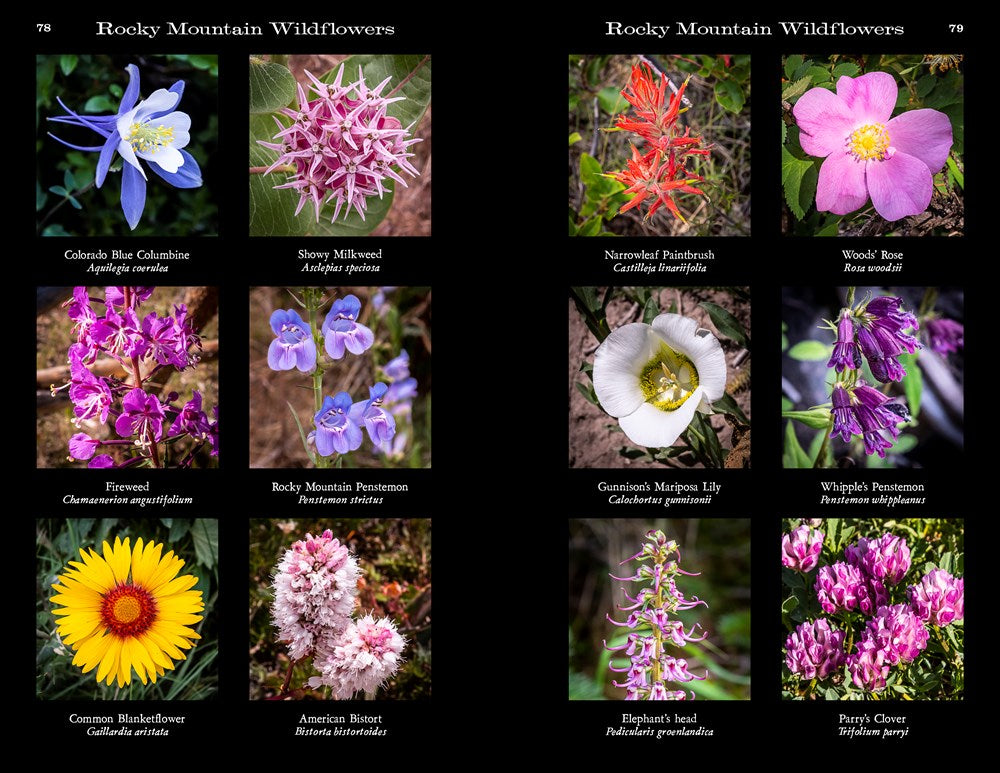 Rocky Mountain National Park: The Complete Guide