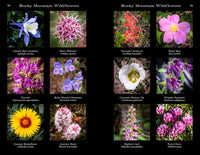 Rocky Mountain National Park: The Complete Guide