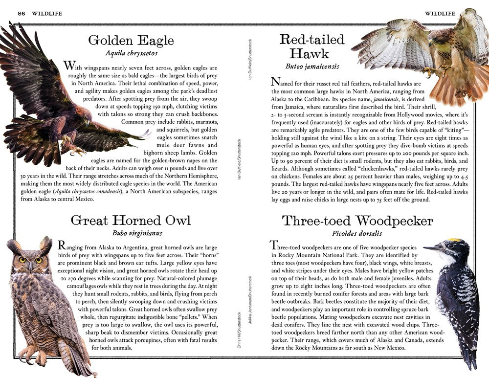 Rocky Mountain National Park: The Complete Guide