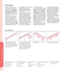 Vogue(r) Knitting The Ultimate Knitting Book: Completely Revised & Updated