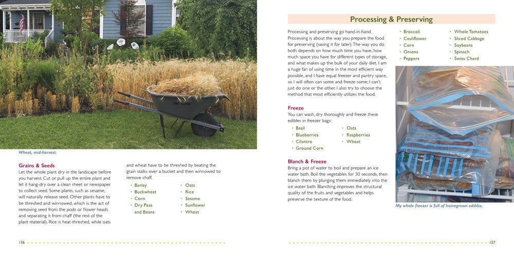 The Foodscape Revolution