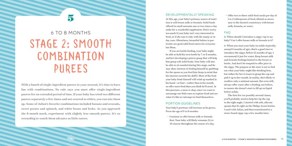 The Big Book of Organic Baby Food