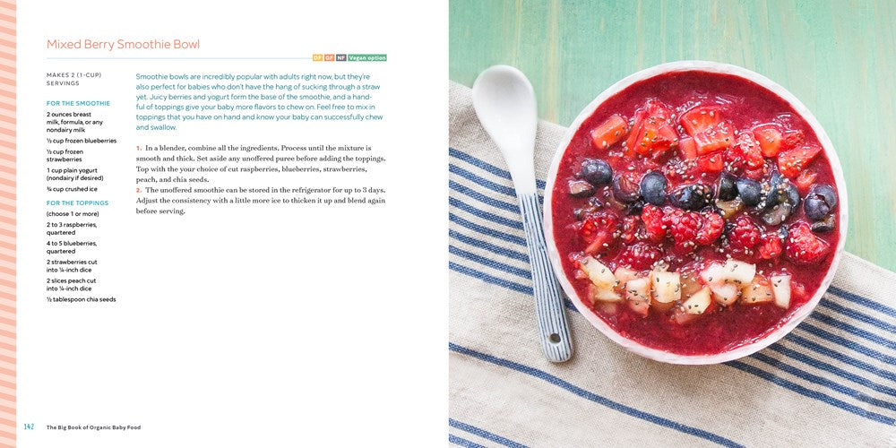 The Big Book of Organic Baby Food