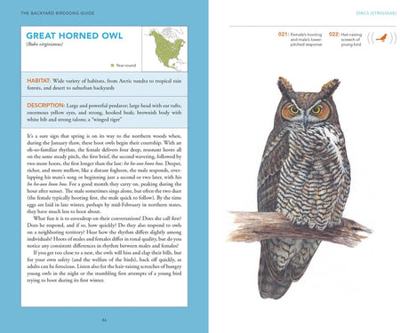 The Backyard Birdsong Guide Eastern and Central North America: A Guide to Listening