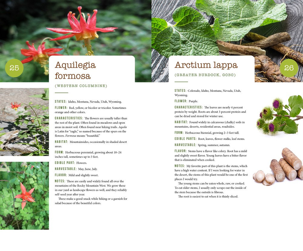 437 Edible Wild Plants of the Rocky Mountain West