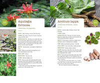 437 Edible Wild Plants of the Rocky Mountain West