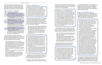 The Game Master's Book of Non-Player Characters: 500+ unique bartenders, brawlers, mages, merchants, royals, rogues, sages, sailors, warriors, weirdos ... RPG adventures (The Game Master Series)