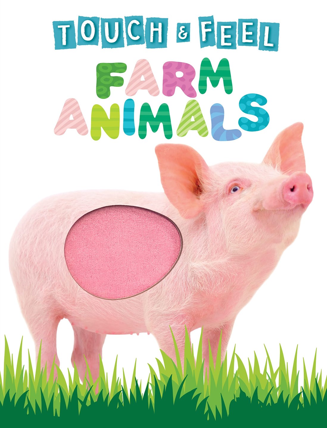 Touch & Feel Farm Animals