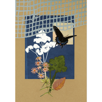 The Comfort of Crows (Reese's Book Club Pick): A Backyard Year