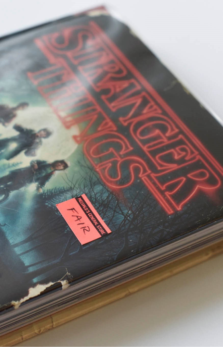 Stranger Things: Worlds Turned Upside Down: The Official Behind-the-Scenes Companion